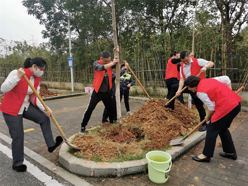 聯合黨支部植樹活動1（李秋田）.jpg